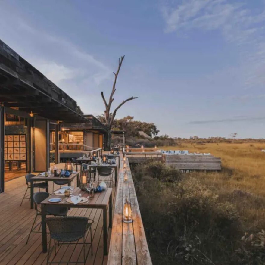 Okavango-880x880 Okavango Wilderness Safaris Partners with Okavango Essence for Eco-Conscious Lodge Amenities