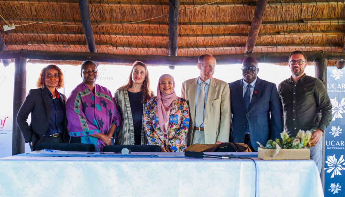Absa,Lucara and creation